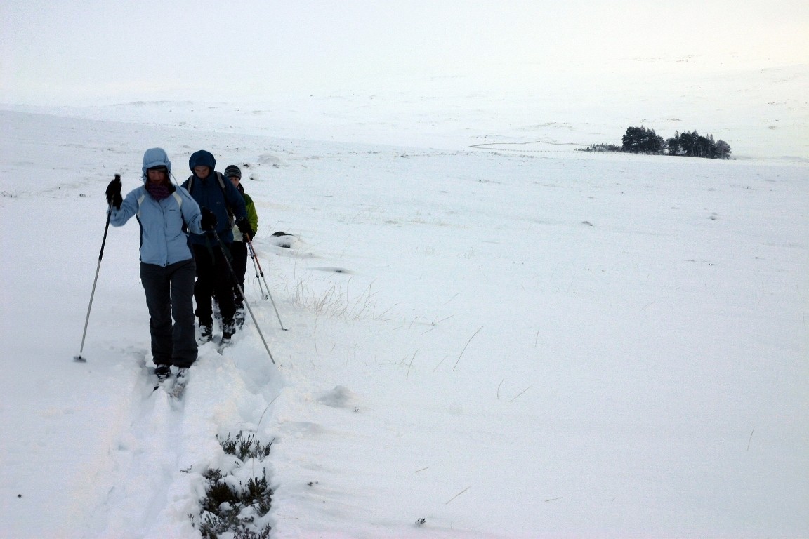 Debbie, Pete And Simon Cross Country Skiing, Balmoral Forest